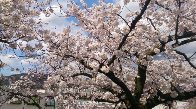 ライネライト~パワーストーン販売